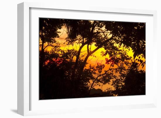 Trees-Mark Ashkenazi-Framed Giclee Print