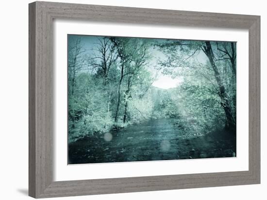 Trees-Mark Ashkenazi-Framed Giclee Print