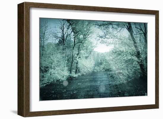 Trees-Mark Ashkenazi-Framed Giclee Print