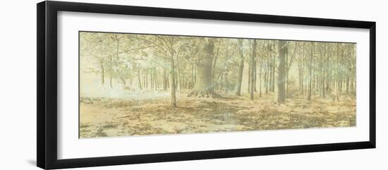 Treescape I-Linda Wood-Framed Giclee Print