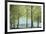 Treescape-Tania Bello-Framed Giclee Print