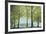 Treescape-Tania Bello-Framed Giclee Print