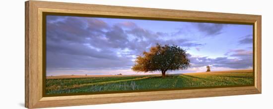 Treescape-Wayne Bradbury-Framed Premier Image Canvas