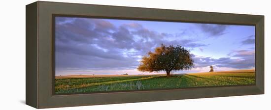 Treescape-Wayne Bradbury-Framed Premier Image Canvas