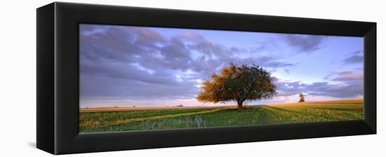 Treescape-Wayne Bradbury-Framed Premier Image Canvas