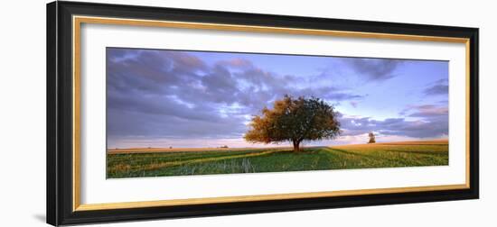 Treescape-Wayne Bradbury-Framed Photographic Print