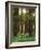 Treetrunks in Cataract Falls State Park forest, Indiana, USA-Anna Miller-Framed Photographic Print