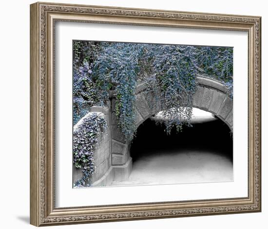 Trefoil Winter-Richard James-Framed Art Print