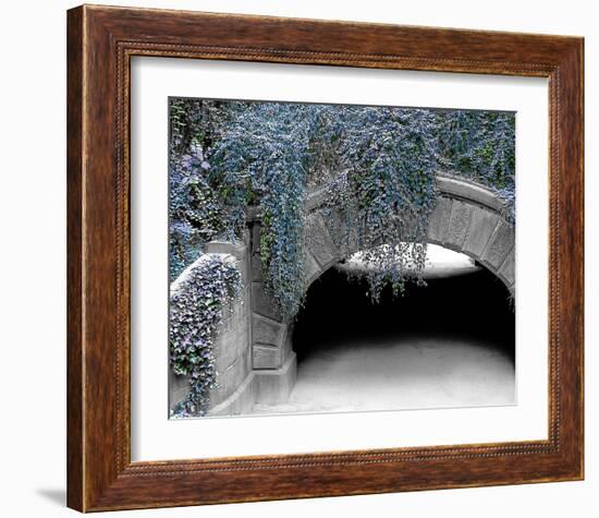 Trefoil Winter-Richard James-Framed Art Print