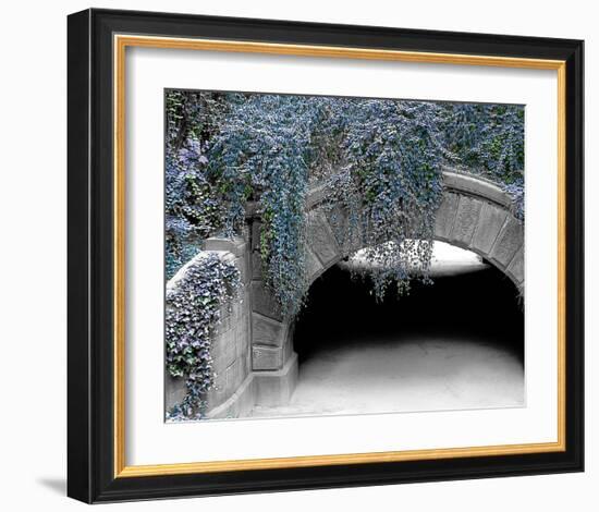 Trefoil Winter-Richard James-Framed Art Print