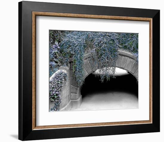 Trefoil Winter-Richard James-Framed Art Print