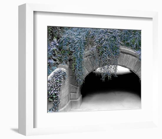 Trefoil Winter-Richard James-Framed Art Print