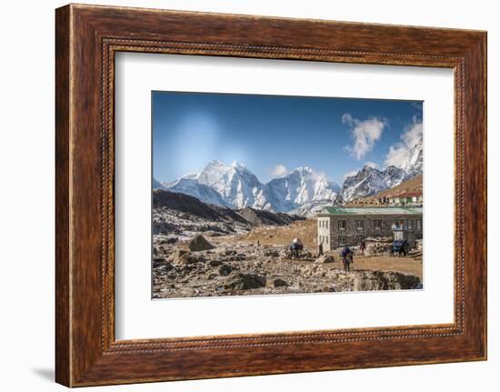 Trekkers and yaks in Lobuche on a trail to Mt. Everest.-Lee Klopfer-Framed Photographic Print