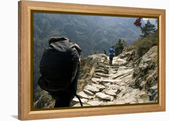 Trekkers on the Trail Towards Namche Bazaar, Khumbu, Nepal-David Noyes-Framed Premier Image Canvas