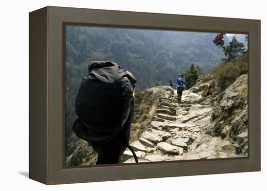 Trekkers on the Trail Towards Namche Bazaar, Khumbu, Nepal-David Noyes-Framed Premier Image Canvas
