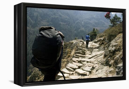 Trekkers on the Trail Towards Namche Bazaar, Khumbu, Nepal-David Noyes-Framed Premier Image Canvas