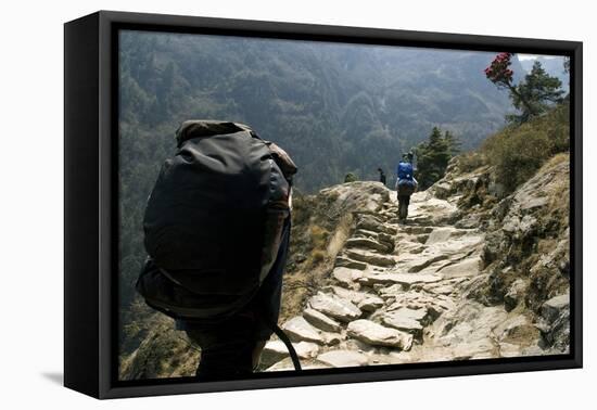 Trekkers on the Trail Towards Namche Bazaar, Khumbu, Nepal-David Noyes-Framed Premier Image Canvas