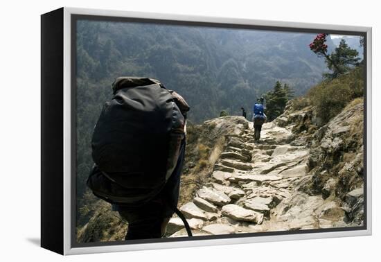 Trekkers on the Trail Towards Namche Bazaar, Khumbu, Nepal-David Noyes-Framed Premier Image Canvas