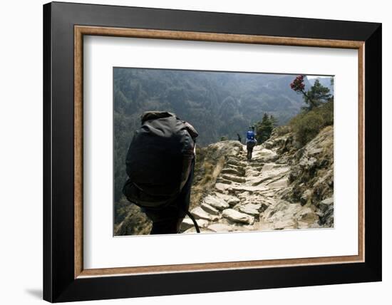 Trekkers on the Trail Towards Namche Bazaar, Khumbu, Nepal-David Noyes-Framed Photographic Print