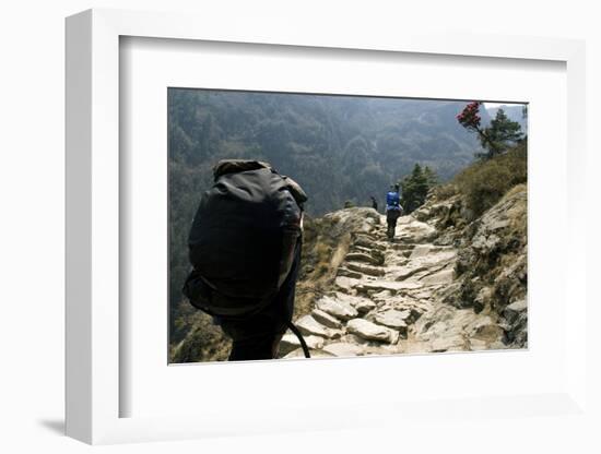 Trekkers on the Trail Towards Namche Bazaar, Khumbu, Nepal-David Noyes-Framed Photographic Print