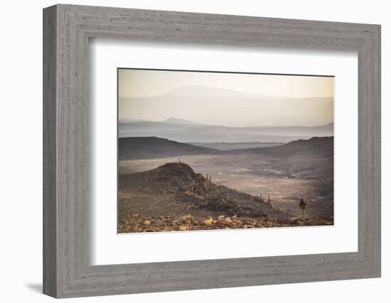 Trekking at Sunset in Cactus Valley (Los Cardones Ravine), Atacama Desert, North Chile-Matthew Williams-Ellis-Framed Photographic Print