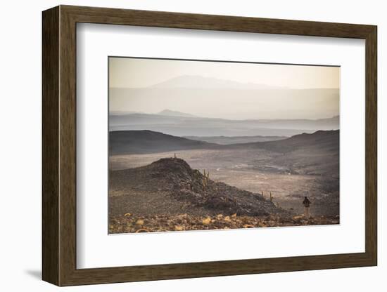 Trekking at Sunset in Cactus Valley (Los Cardones Ravine), Atacama Desert, North Chile-Matthew Williams-Ellis-Framed Photographic Print