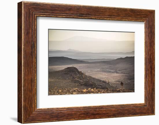 Trekking at Sunset in Cactus Valley (Los Cardones Ravine), Atacama Desert, North Chile-Matthew Williams-Ellis-Framed Photographic Print