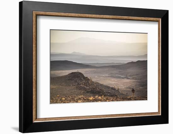 Trekking at Sunset in Cactus Valley (Los Cardones Ravine), Atacama Desert, North Chile-Matthew Williams-Ellis-Framed Photographic Print