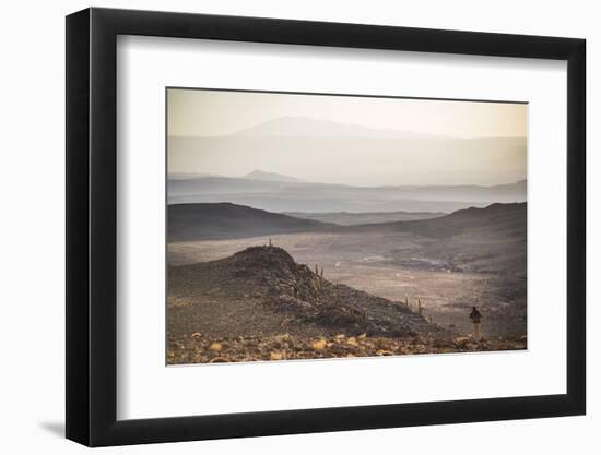 Trekking at Sunset in Cactus Valley (Los Cardones Ravine), Atacama Desert, North Chile-Matthew Williams-Ellis-Framed Photographic Print