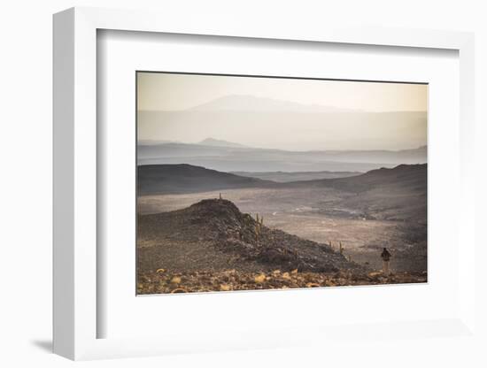 Trekking at Sunset in Cactus Valley (Los Cardones Ravine), Atacama Desert, North Chile-Matthew Williams-Ellis-Framed Photographic Print