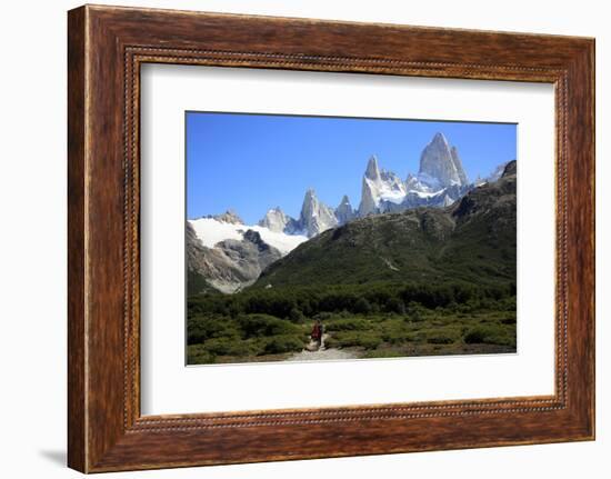 Trekking under Monte Fitz Roy, El Chalten, Argentine Patagonia, Argentina, South America-David Pickford-Framed Photographic Print