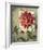 Trellised Dahlia-Lisa Audit-Framed Art Print