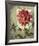 Trellised Dahlia-Lisa Audit-Framed Art Print