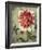 Trellised Dahlia-Lisa Audit-Framed Art Print