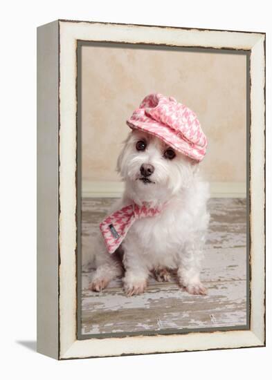 Trendy Cute Dog-lovleah-Framed Premier Image Canvas