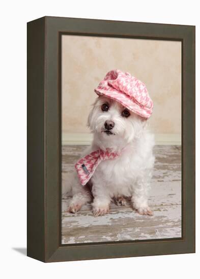 Trendy Cute Dog-lovleah-Framed Premier Image Canvas