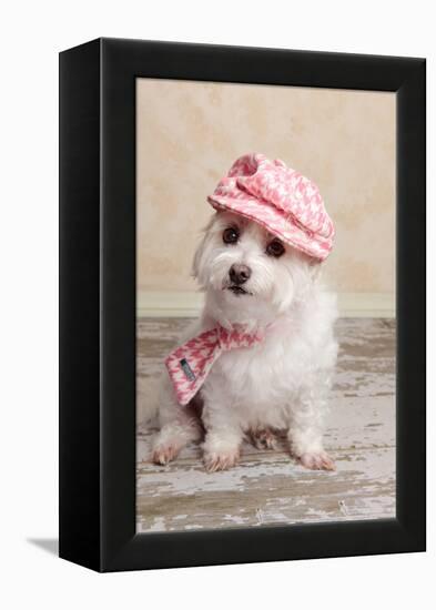 Trendy Cute Dog-lovleah-Framed Premier Image Canvas