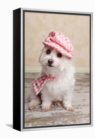 Trendy Cute Dog-lovleah-Framed Premier Image Canvas