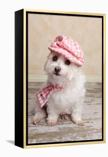 Trendy Cute Dog-lovleah-Framed Premier Image Canvas