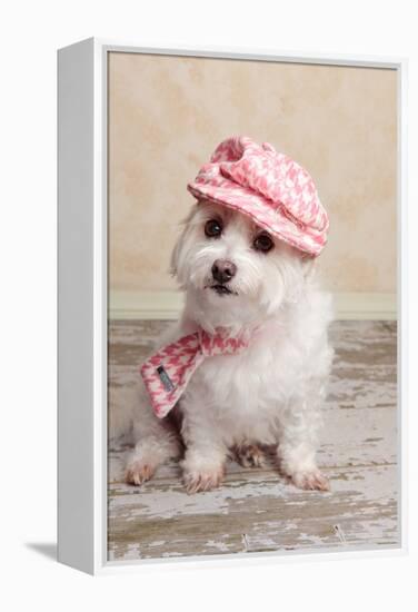 Trendy Cute Dog-lovleah-Framed Premier Image Canvas