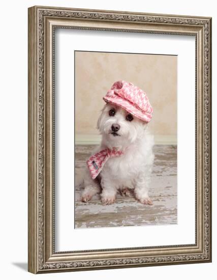 Trendy Cute Dog-lovleah-Framed Photographic Print