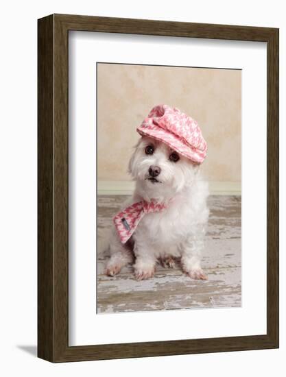 Trendy Cute Dog-lovleah-Framed Photographic Print