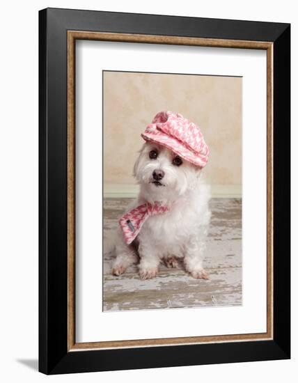 Trendy Cute Dog-lovleah-Framed Photographic Print