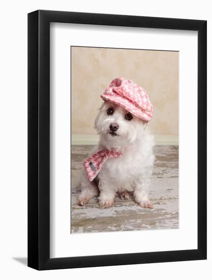 Trendy Cute Dog-lovleah-Framed Photographic Print