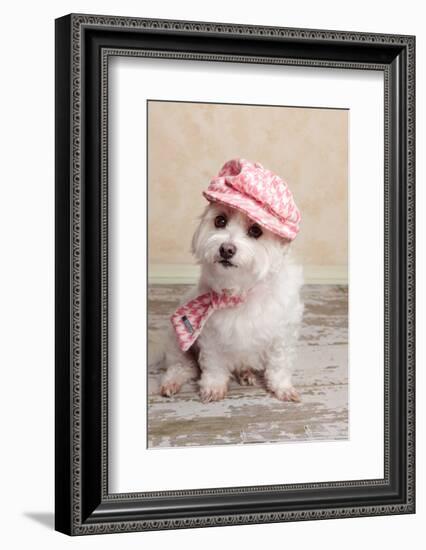 Trendy Cute Dog-lovleah-Framed Photographic Print