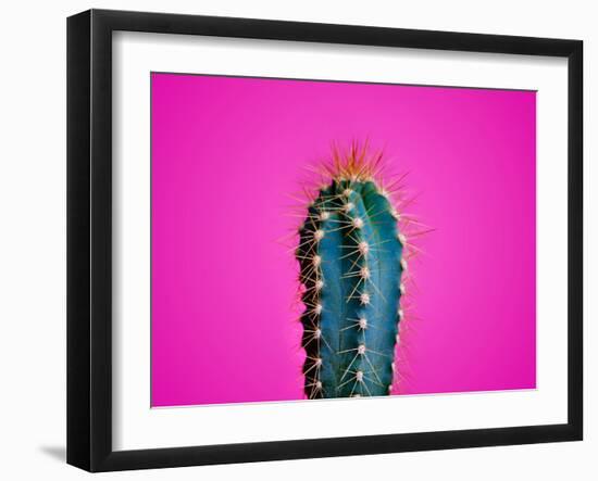 Trendy Neon Cactus Closeup over Bright Pink Pastel Background. Colorful Summer Trendy Creative Conc-null-Framed Photographic Print