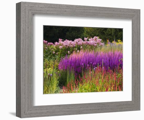 Trentham Gardens-Clive Nichols-Framed Photographic Print