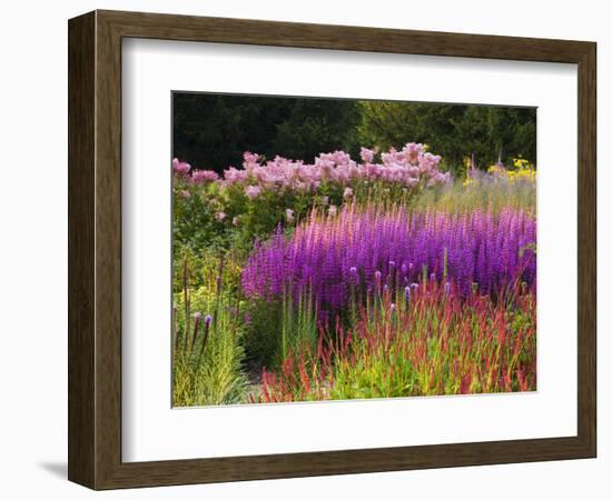 Trentham Gardens-Clive Nichols-Framed Photographic Print