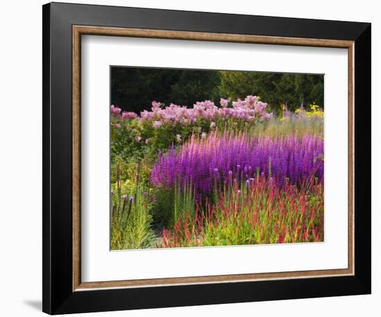 Trentham Gardens-Clive Nichols-Framed Photographic Print