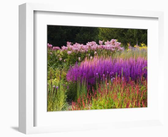 Trentham Gardens-Clive Nichols-Framed Photographic Print